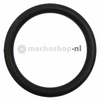 O-ring voor inlaatklep - 1550504082000